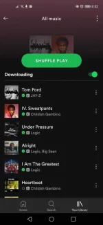 Screenshot_20210126_085248_com.spotify.music.webp