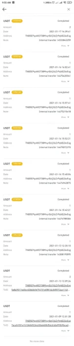 Screenshot_2021-01-27-09-55-01-207_com.binance.dev.webp