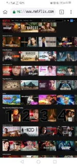 Screenshot_20210127_235847_com.kiwibrowser.browser.webp