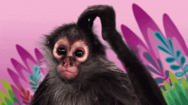giphy.gif giphy.gif