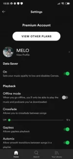 -15-55-54-191_com.spotify.musicf13a069e9dae246f.md.webp