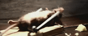 giphy.gif giphy.gif