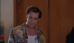 giphy.gif giphy.gif