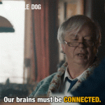 giphy.gif giphy.gif