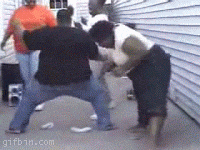 giphy.gif giphy.gif