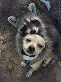 qooiw5v23oja.webp