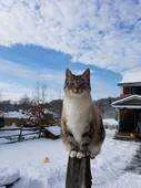 c1qissmpepui.webp