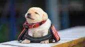mee7d2gb2tl3.webp