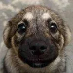 9uv7mggw45ai.webp