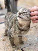 pk5htnocjhgd.webp