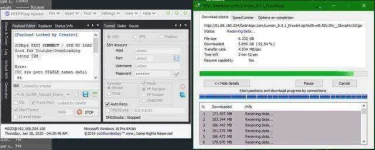 speedy.webp