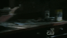 giphy.gif