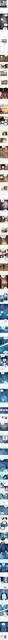 ch3.webp