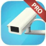 icon.webp