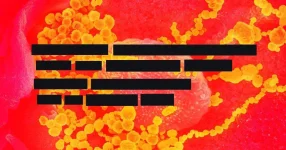 white-house-censoring-infectious-disease-expert.webp