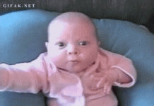 giphy.gif giphy.gif