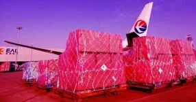 llionaire-Ships-500000-Coronavirus-Testing-Kits-US.webp