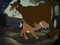 giphy.gif giphy.gif
