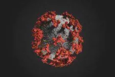 irus-closeup-iisolated-on-black-background-300x200.webp