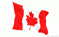 canadian-flag-animated-gif-80-big.gif canadian-flag-animated-gif-80-big.gif