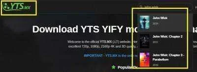 yts.md.webp