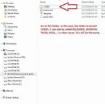 5.webp