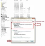 8.webp