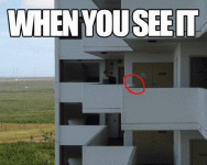 giphy.gif giphy.gif