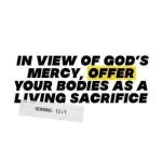 FB_IMG_1588264208676.md.webp