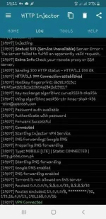 Screenshot_20200503-191122_HTTP-Injector.md.webp