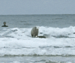 giphy.gif giphy.gif