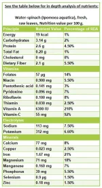 kangkong-water-spinach-nutrition-facts.webp kangkong-water-spinach-nutrition-facts.webp