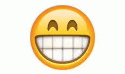 giphy.gif