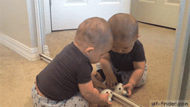 giphy.gif giphy.gif