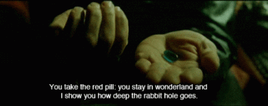 tumblr_moj2rmdTUH1r5pqz3o1_500.gif tumblr_moj2rmdTUH1r5pqz3o1_500.gif
