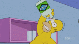giphy.gif giphy.gif