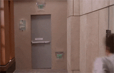 giphy.gif giphy.gif