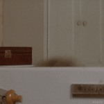 giphy.gif giphy.gif
