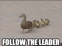 giphy.gif giphy.gif