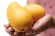 how-to-choose-mango.webp