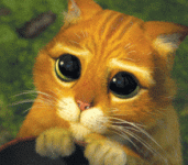 1328403.gif