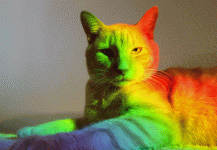 giphy.gif giphy.gif