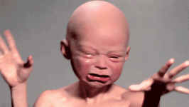 giphy.gif giphy.gif