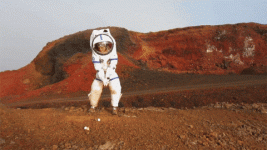 giphy.gif