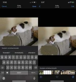 photo-captions.webp