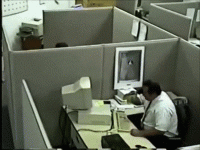 giphy.gif giphy.gif