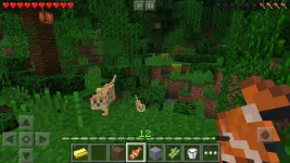 Minecraft.webp