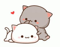 giphy.gif giphy.gif