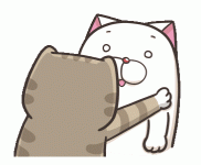 giphy.gif giphy.gif