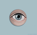 giphy.gif